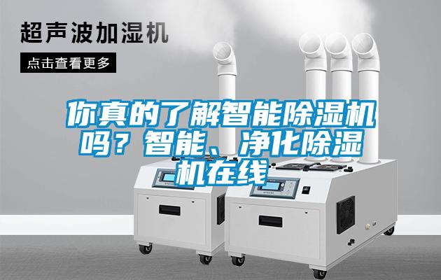 你真的了解智能除濕機(jī)嗎<div   id=
