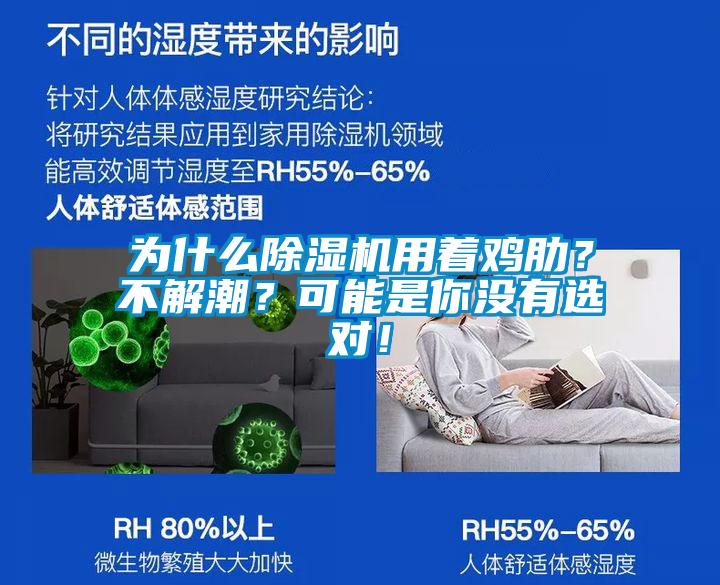 為什么除濕機用著雞肋<div   id=