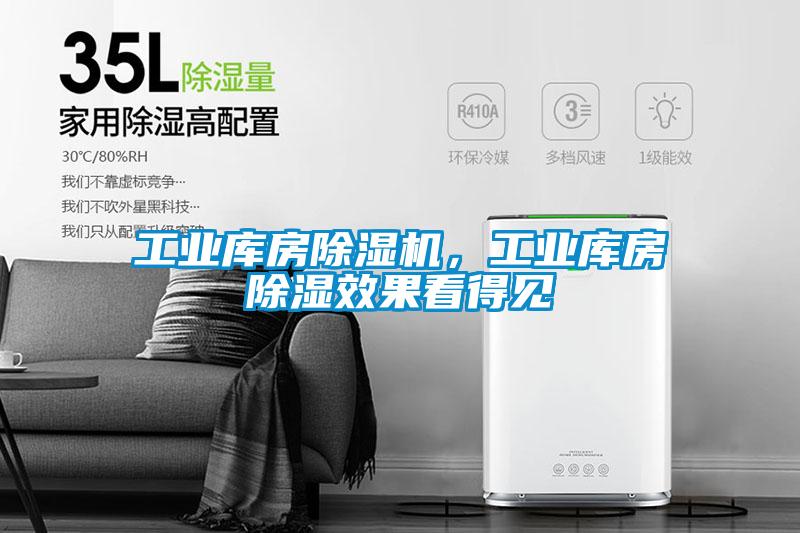 工業(yè)庫房除濕機<div   id=