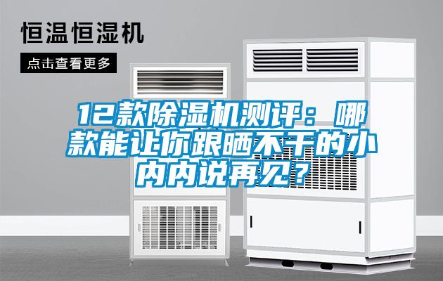 12款除濕機測評：哪款能讓你跟曬不干的小內內說再見<div   id=