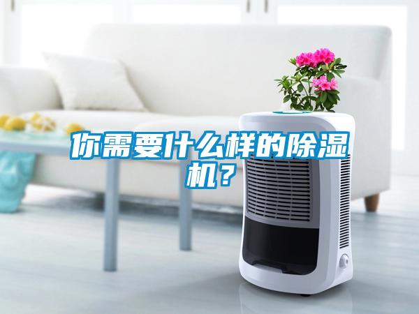 你需要什么樣的除濕機<div   id=