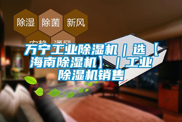 萬(wàn)寧工業(yè)除濕機(jī)｜選【海南除濕機(jī)】｜工業(yè)除濕機(jī)銷售