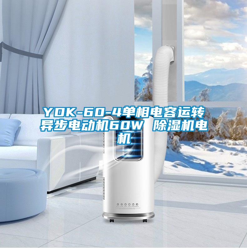 YDK-60-4單相電容運(yùn)轉(zhuǎn)異步電動(dòng)機(jī)60W 除濕機(jī)電機(jī)