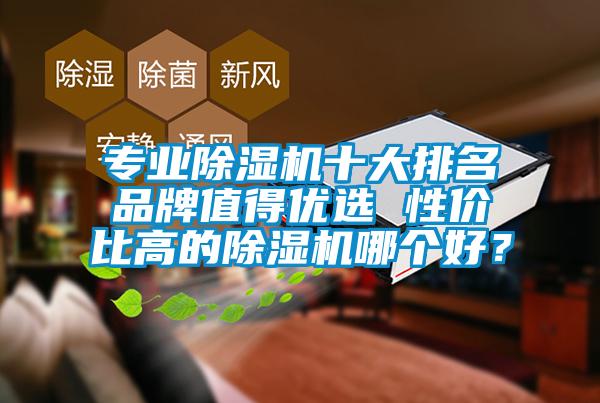 專(zhuān)業(yè)除濕機(jī)十大排名品牌值得優(yōu)選 性?xún)r(jià)比高的除濕機(jī)哪個(gè)好<div   id=