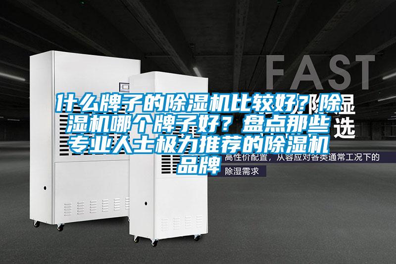 什么牌子的除濕機(jī)比較好？除濕機(jī)哪個(gè)牌子好<div   id=