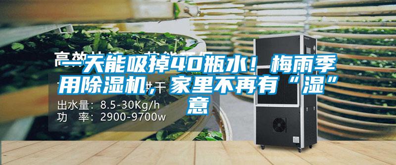一天能吸掉40瓶水！梅雨季用除濕機(jī)<div   id=