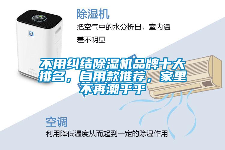 不用糾結(jié)除濕機品牌十大排名<div   id=