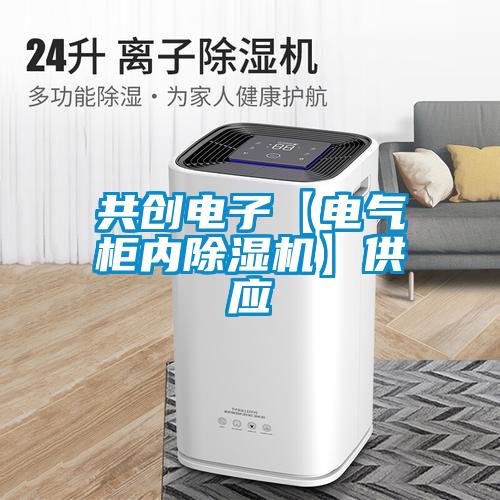 共創(chuàng)電子【電氣柜內(nèi)除濕機】供應