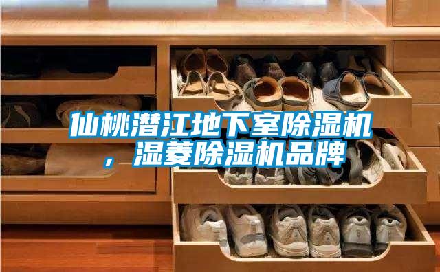 仙桃潛江地下室除濕機(jī)<div   id=