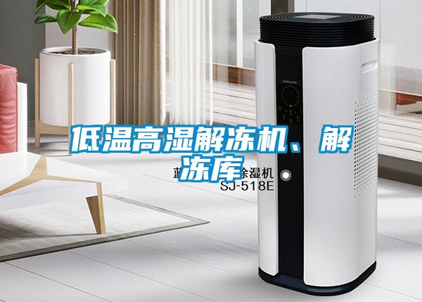 低溫高濕解凍機(jī)<div   id=