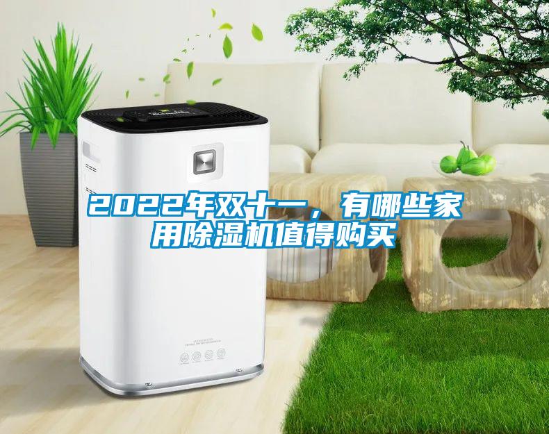 2022年雙十一<div   id=