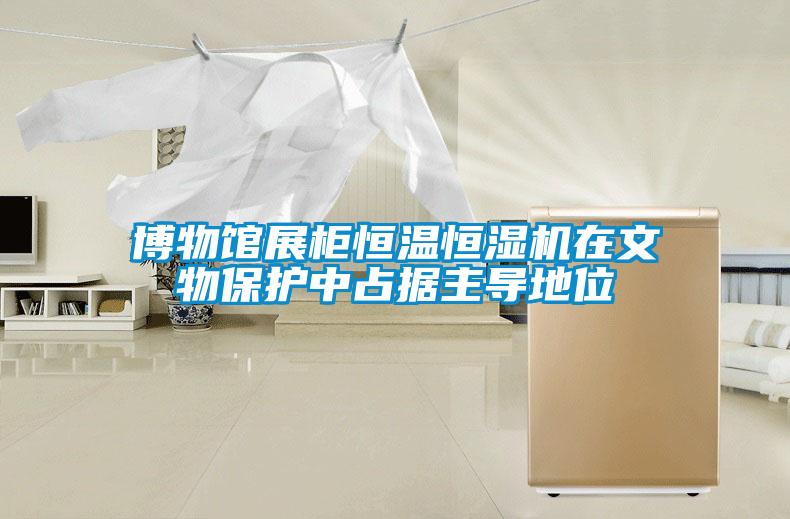博物館展柜恒溫恒濕機在文物保護(hù)中占據(jù)主導(dǎo)地位