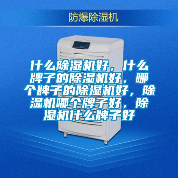 什么除濕機(jī)好<div   id=