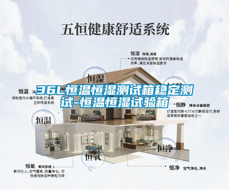 36L恒溫恒濕測試箱穩(wěn)定測試-恒溫恒濕試驗箱