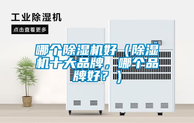 哪個除濕機好（除濕機十大品牌<div   id=