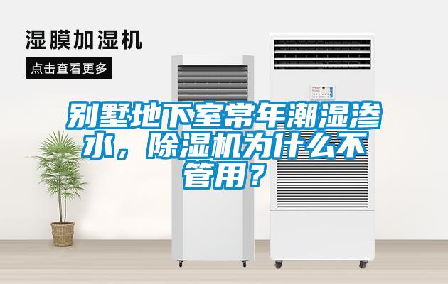別墅地下室常年潮濕滲水，除濕機(jī)為什么不管用<div   id=