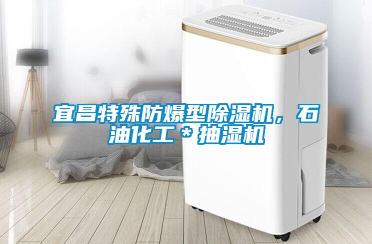 宜昌特殊防爆型除濕機(jī)<div   id=