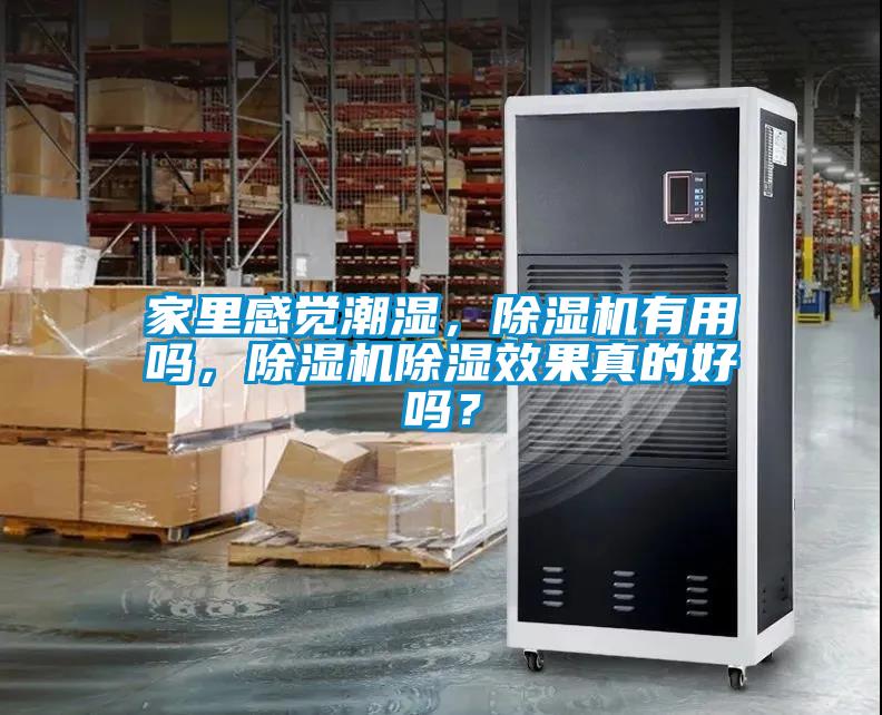 家里感覺潮濕<div   id=