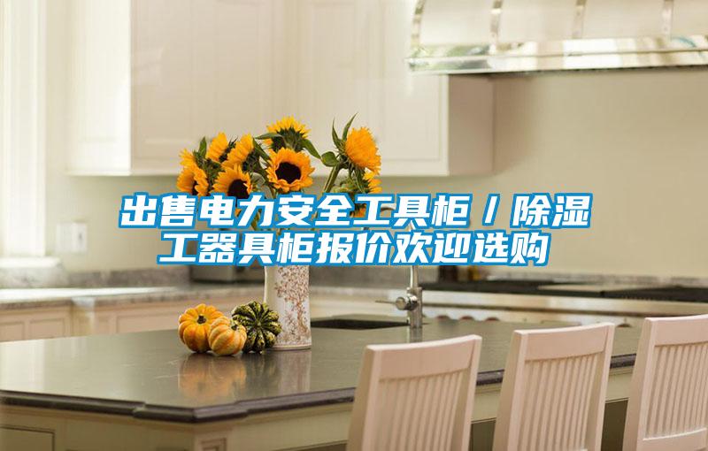 出售電力安全工具柜／除濕工器具柜報(bào)價(jià)歡迎選購(gòu)