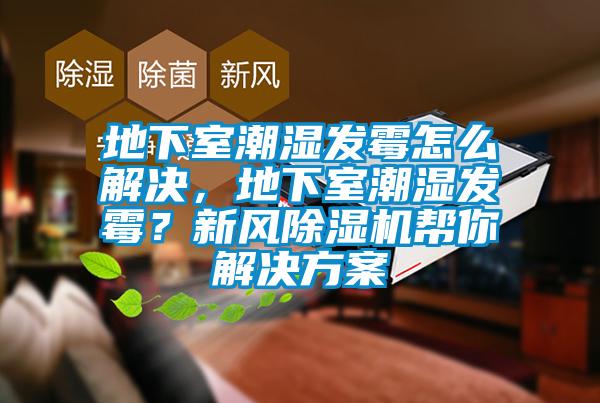 地下室潮濕發(fā)霉怎么解決，地下室潮濕發(fā)霉<div   id=