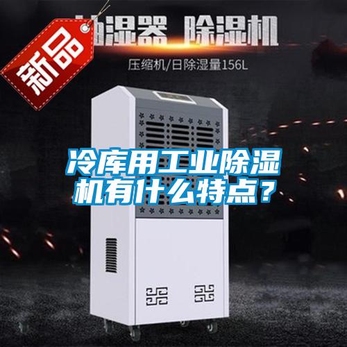冷庫(kù)用工業(yè)除濕機(jī)有什么特點(diǎn)<div   id=