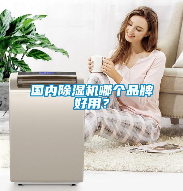 國內(nèi)除濕機哪個品牌好用<div   id=