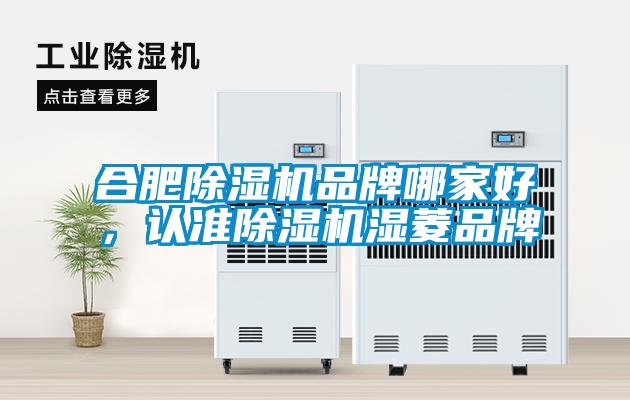 合肥除濕機(jī)品牌哪家好<div   id=