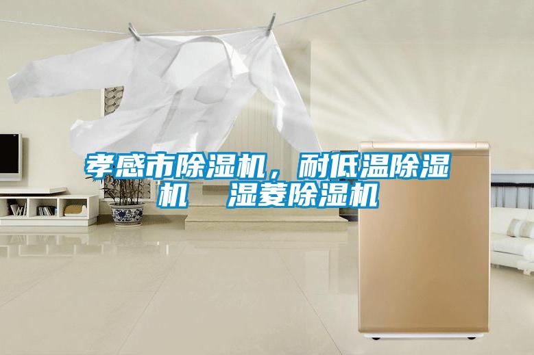 孝感市除濕機(jī)<div   id=