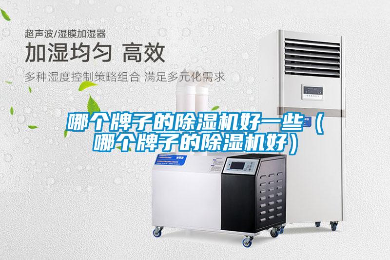 哪個牌子的除濕機(jī)好一些(哪個牌子的除濕機(jī)好)