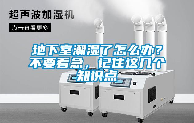 地下室潮濕了怎么辦？不要著急<div   id=