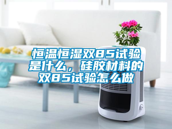 恒溫恒濕雙85試驗(yàn)是什么<div   id=