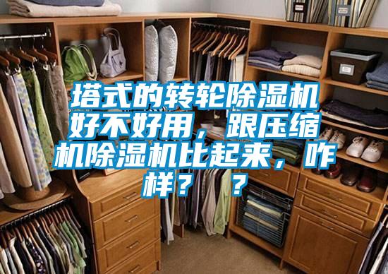 塔式的轉(zhuǎn)輪除濕機好不好用，跟壓縮機除濕機比起來<div   id=