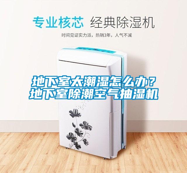 地下室太潮濕怎么辦<div   id=