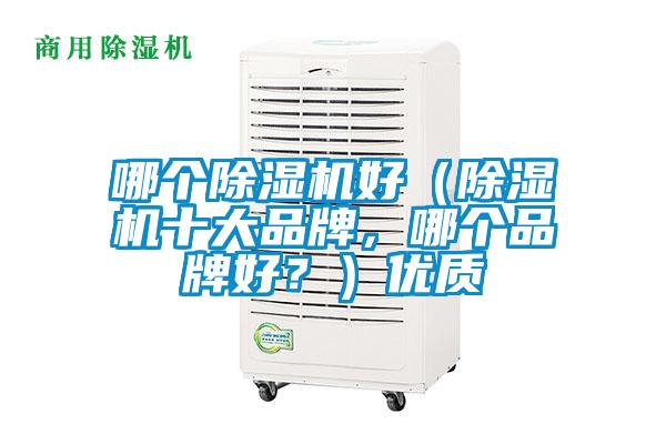 哪個除濕機好（除濕機十大品牌，哪個品牌好<div   id=