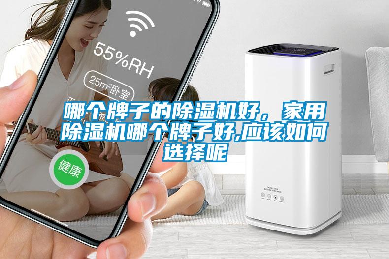 哪個(gè)牌子的除濕機(jī)好<div   id=