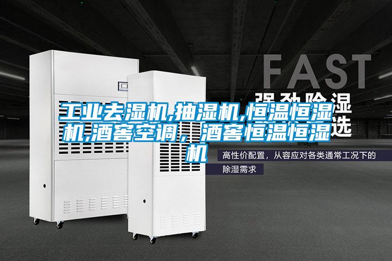 工業(yè)去濕機(jī),抽濕機(jī),恒溫恒濕機(jī),酒窖空調(diào)<div   id=