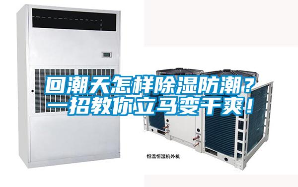 回潮天怎樣除濕防潮？一招教你立馬變干爽<div   id=
