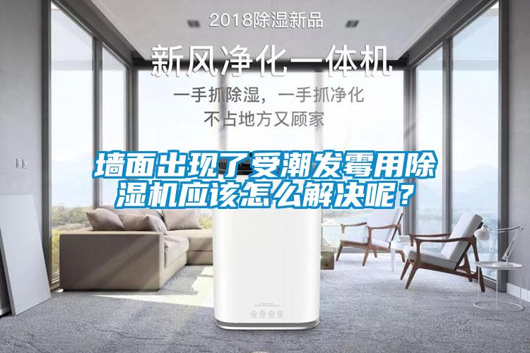 墻面出現(xiàn)了受潮發(fā)霉用除濕機(jī)應(yīng)該怎么解決呢<div   id=