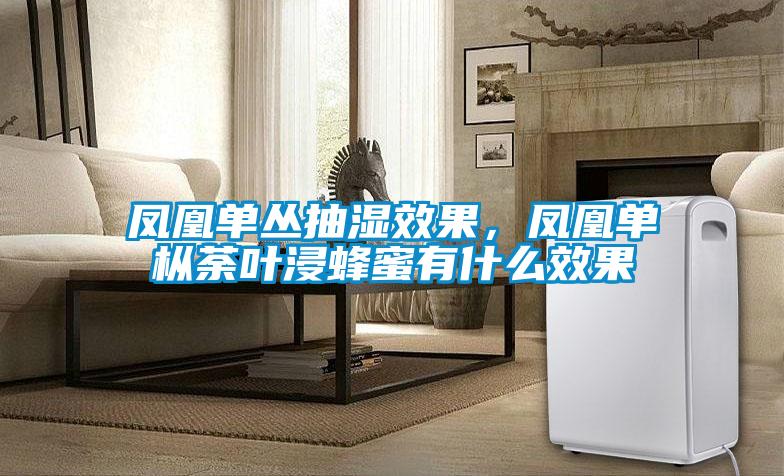 鳳凰單叢抽濕效果<div   id=