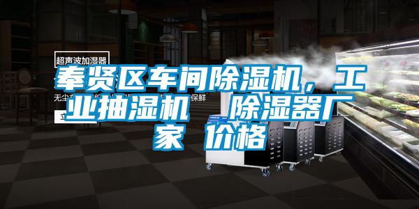 奉賢區(qū)車間除濕機(jī)<div   id=
