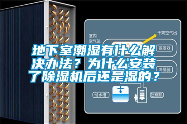 地下室潮濕有什么解決辦法<div   id=