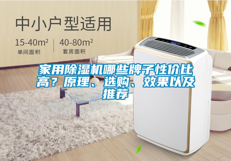 家用除濕機(jī)哪些牌子性價比高<div   id=