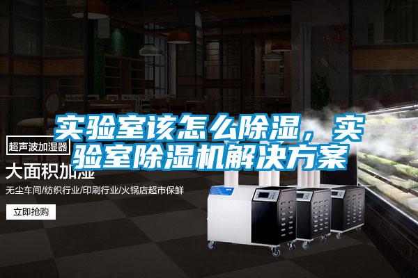 實(shí)驗(yàn)室該怎么除濕<div   id=