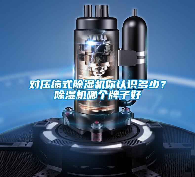 對壓縮式除濕機你認(rèn)識多少<div   id=