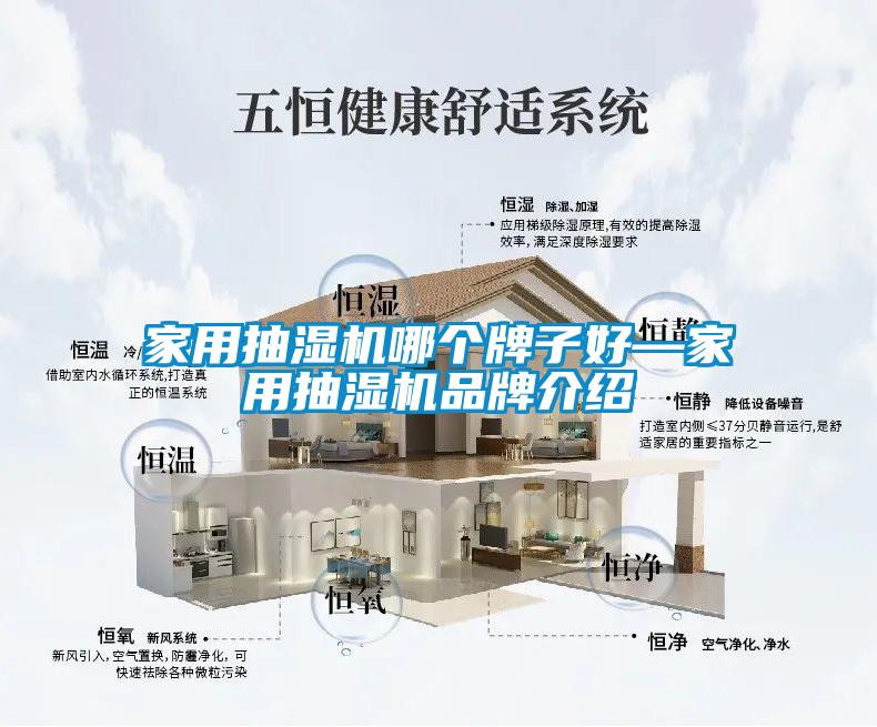 家用抽濕機(jī)哪個牌子好—家用抽濕機(jī)品牌介紹