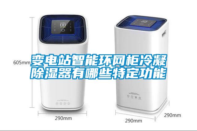 變電站智能環(huán)網(wǎng)柜冷凝除濕器有哪些特定功能