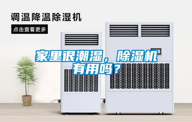 家里很潮濕<div   id=
