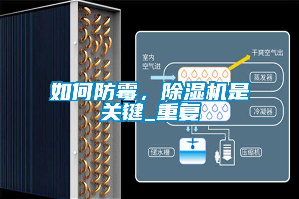 如何防霉<div   id=
