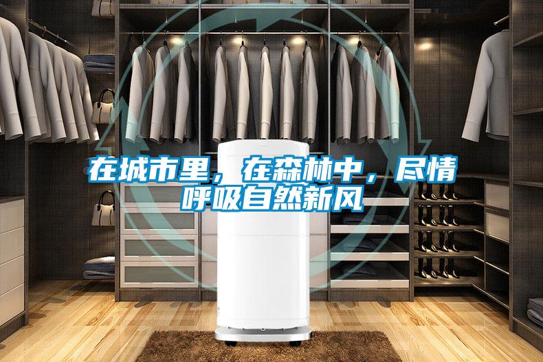 在城市里<div   id=