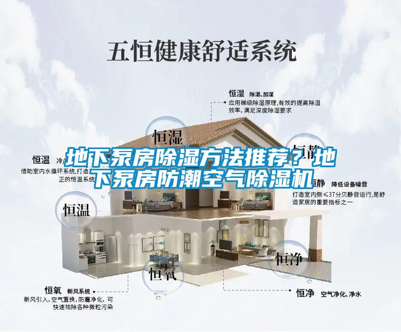 地下泵房除濕方法推薦<div   id=